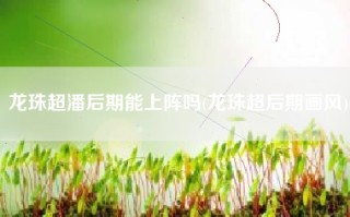 龙珠超潘后期能上阵吗(龙珠超后期画风)