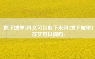 地下城堡3符文可以取下来吗(地下城堡3符文可以摘吗)