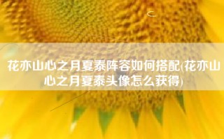 花亦山心之月夏泰阵容如何搭配(花亦山心之月夏泰头像怎么获得)