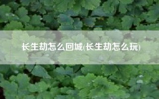 长生劫怎么回城(长生劫怎么玩)