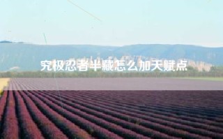 究极忍者半藏怎么加天赋点