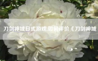 刀剑神域日式游戏,如何评价《刀剑神域