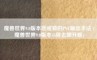 魔兽世界9.0版本惩戒骑的PVE输出手法 (魔兽世界9.0版本45级去哪升级)