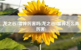 龙之谷2雷神厉害吗(龙之谷2雷神怎么弄厉害)