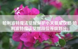 哈利波特魔法觉醒保护小天狼星攻略(哈利波特魔法觉醒段位等级划分)