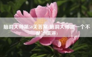 脑洞大师第50关答案(脑洞大师哪一个不是冰淇淋)