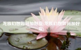 龙族幻想如何加好友(龙族幻想如何加好友)