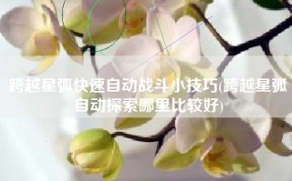 跨越星弧快速自动战斗小技巧(跨越星弧自动探索哪里比较好)