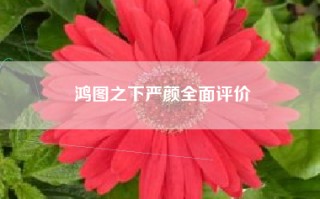 鸿图之下严颜全面评价