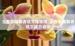 王者荣耀霸者铭文给谁用_王者荣耀霸者铭文适合谁用