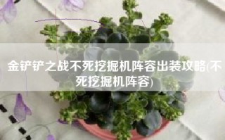 金铲铲之战不死挖掘机阵容出装攻略(不死挖掘机阵容)