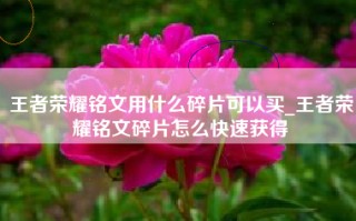 王者荣耀铭文用什么碎片可以买_王者荣耀铭文碎片怎么快速获得