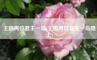 王国两位君主一岛(王国两位君主一岛隐士)