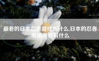 最老的日本忍者游戏叫什么,日本的忍者电脑游戏有什么