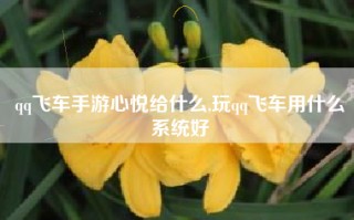 qq飞车手游心悦给什么,玩qq飞车用什么系统好