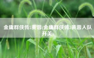 金庸群侠传5黄蓉(金庸群侠传5黄蓉入队开关)