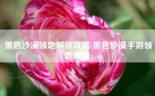 黑色沙漠领地解锁攻略(黑色沙漠手游领地攻略)