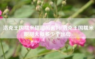 洛克王国糯米甜甜厉害吗(洛克王国糯米甜甜大概多少个出母)