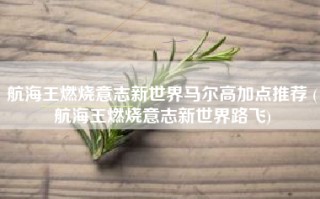 航海王燃烧意志新世界马尔高加点推荐 (航海王燃烧意志新世界路飞)