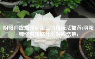 阴阳师终焉时刻第二阶段玩法推荐(阴阳师终焉降临什么时候结束)
