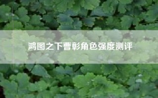 鸿图之下曹彰角色强度测评