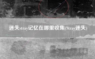 迷失stray记忆在哪里收集(Stray迷失)