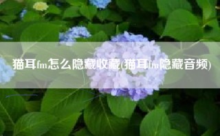 猫耳fm怎么隐藏收藏(猫耳fm隐藏音频)