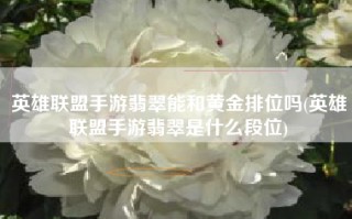 英雄联盟手游翡翠能和黄金排位吗(英雄联盟手游翡翠是什么段位)
