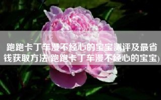 跑跑卡丁车漫不经心的宝宝测评及最省钱获取方法(跑跑卡丁车漫不经心的宝宝)