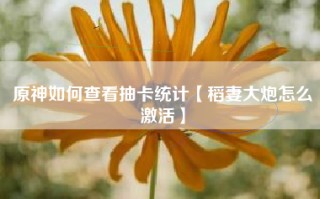 原神如何查看抽卡统计【稻妻大炮怎么激活】