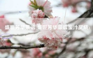 盛世芳华菜谱(盛世芳华菜谱蜜汁叉烧)