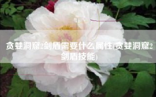 贪婪洞窟2剑盾需要什么属性(贪婪洞窟2剑盾技能)