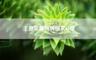 王者荣耀阿轲铭文64级