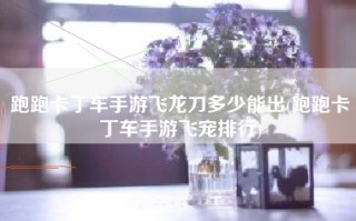 跑跑卡丁车手游飞龙刀多少能出(跑跑卡丁车手游飞宠排行)