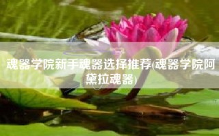 魂器学院新手魂器选择推荐(魂器学院阿黛拉魂器)