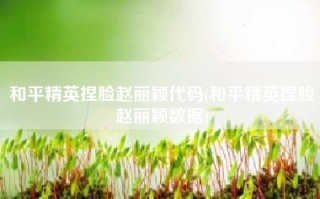 和平精英捏脸赵丽颖代码(和平精英捏脸赵丽颖数据)