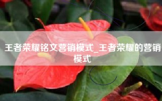 王者荣耀铭文营销模式_王者荣耀的营销模式