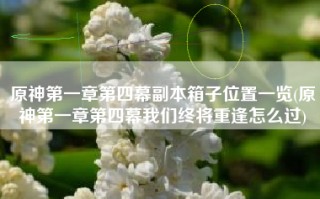 原神第一章第四幕副本箱子位置一览(原神第一章第四幕我们终将重逢怎么过)