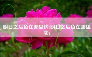 明日之后鱼在哪里钓(明日之后鱼在哪里卖)