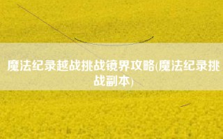 魔法纪录越战挑战镜界攻略(魔法纪录挑战副本)