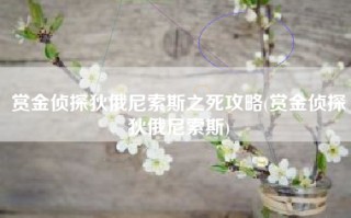 赏金侦探狄俄尼索斯之死攻略(赏金侦探狄俄尼索斯)