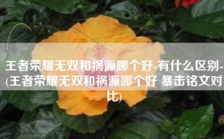 王者荣耀无双和祸源哪个好-有什么区别-(王者荣耀无双和祸源哪个好 暴击铭文对比)