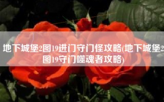 地下城堡2图19进门守门怪攻略(地下城堡2图19守门噬魂者攻略)
