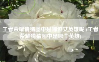 王者荣耀猜猜图中是哪位女英雄呢 (王者荣耀猜猜图中是哪个英雄)