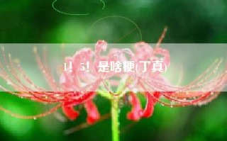 1！5！是啥梗(丁真)