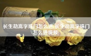 长生劫嵩字珠门怎么进(长生劫嵩字珠门怎么进视频)