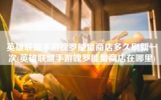 英雄联盟手游魄罗能量商店多久刷新一次(英雄联盟手游魄罗能量商店在哪里)