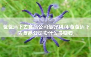 爸爸活下去食品公司最好利润(爸爸活下去食品公司卖什么最赚钱)