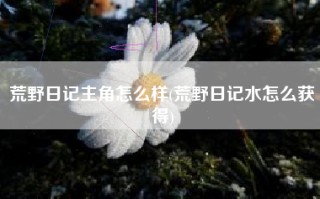 荒野日记主角怎么样(荒野日记水怎么获得)