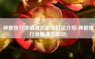神都夜行录镇魂街副本打法介绍(神都夜行录镇魂街联动)